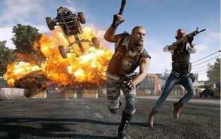 满级吃鸡操作瓜仔,揭秘高手的独门秘籍  第2张