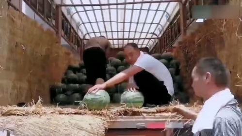 大学跳舞吃瓜现场