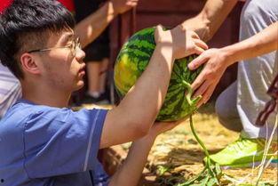 大学跳舞吃瓜现场  第2张