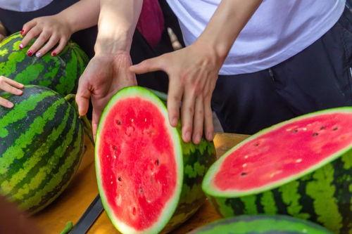 大学跳舞吃瓜现场  第3张