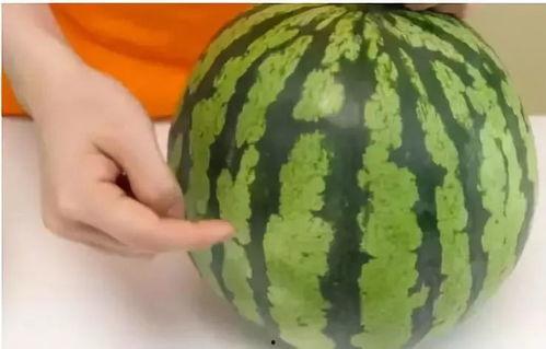 没有熟的瓜怎么吃,未熟瓜果的巧妙食用攻略  第3张