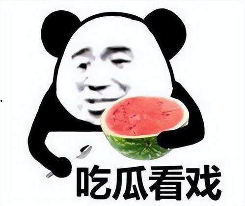 我是瓜哥带你吃瓜表情包,瓜哥带你领略“我是瓜哥带你吃瓜”表情包的魅力