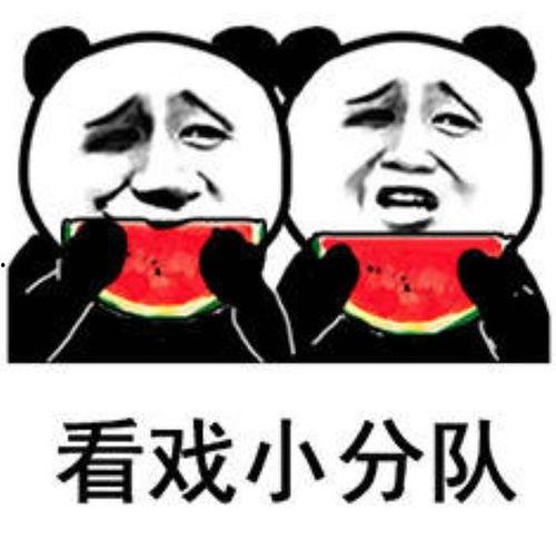 我是瓜哥带你吃瓜表情包,瓜哥带你领略“我是瓜哥带你吃瓜”表情包的魅力  第2张