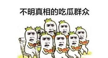 吃瓜群众怎么修炼,从旁观者到深度解读者  第2张