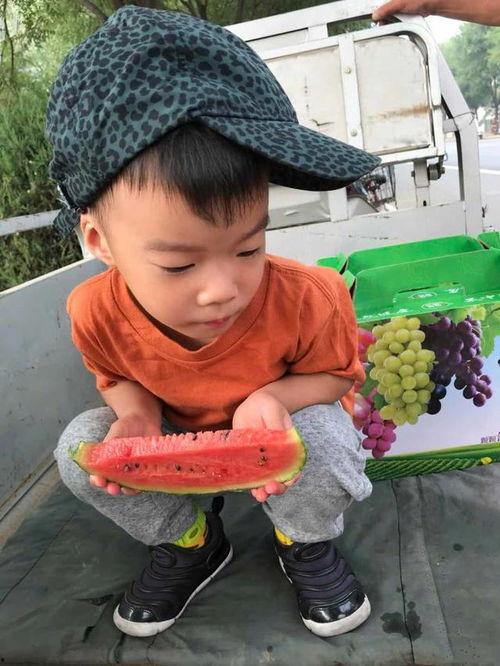 吃瓜小小,揭秘娱乐圈背后的那些事儿  第2张