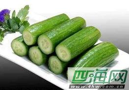 荷兰吃瓜,探寻荷兰独特的“吃瓜”文化  第3张
