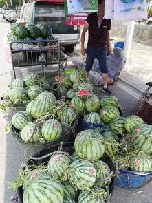 沧州吃瓜网红事件,一场网络舆论的发酵与反思  第2张
