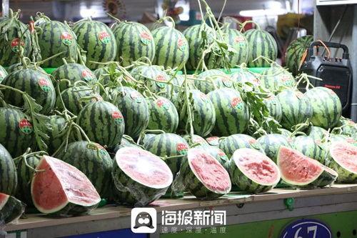 吃瓜不分品种吗,品种无关，快乐共享  第3张