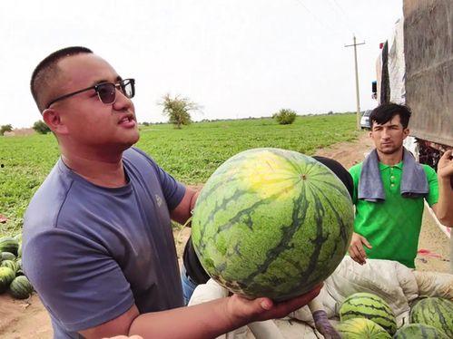湖州吃瓜达人照片  第2张